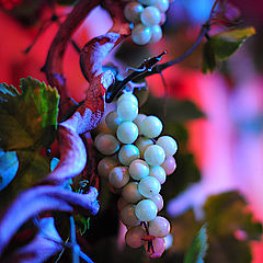 Corporate Event BT Catering Herford Firmenfeier Italienische Nacht